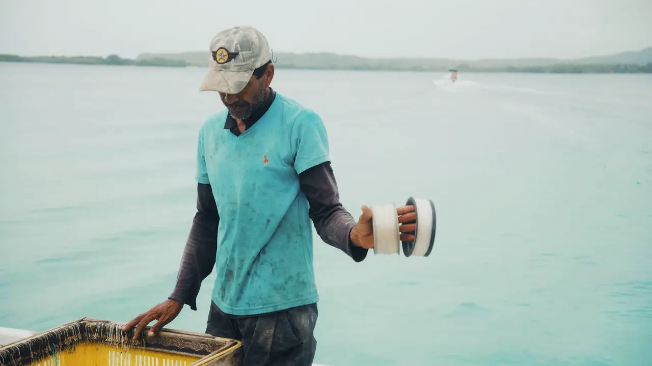 Morrocoy, una vista más allá del turista